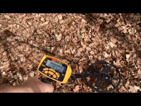 Garrett ACE 300i+ Metalldetektor & CORS Strike Hochleistungsspule (Tiefenortungspaket)