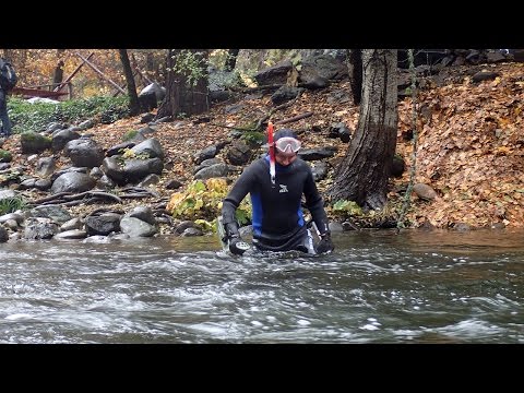 The Best Just Got Better YouTube Video